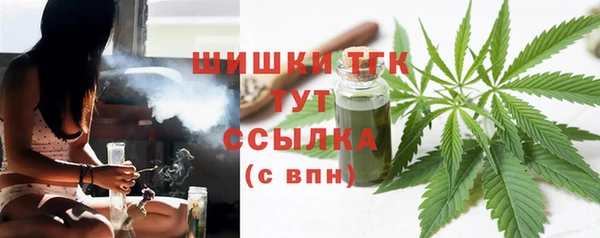 МДПВ Слюдянка