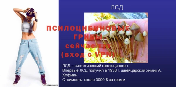 хмурый Снежногорск