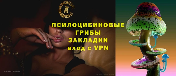 хмурый Снежногорск