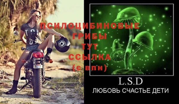хмурый Снежногорск