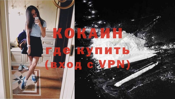 трава Курчалой