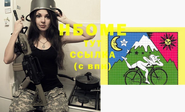 хмурый Снежногорск