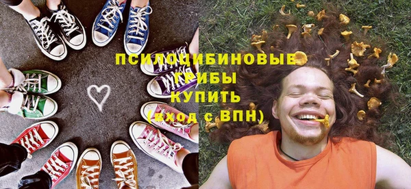 твердый Снежинск