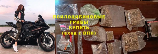 хмурый Снежногорск