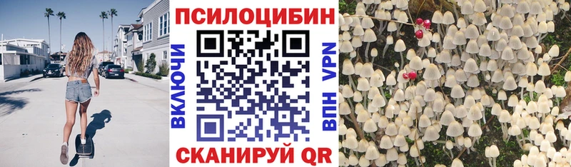 Псилоцибиновые грибы MAGIC MUSHROOMS  кракен   Красноярск 